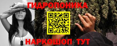 СК Пугачёв