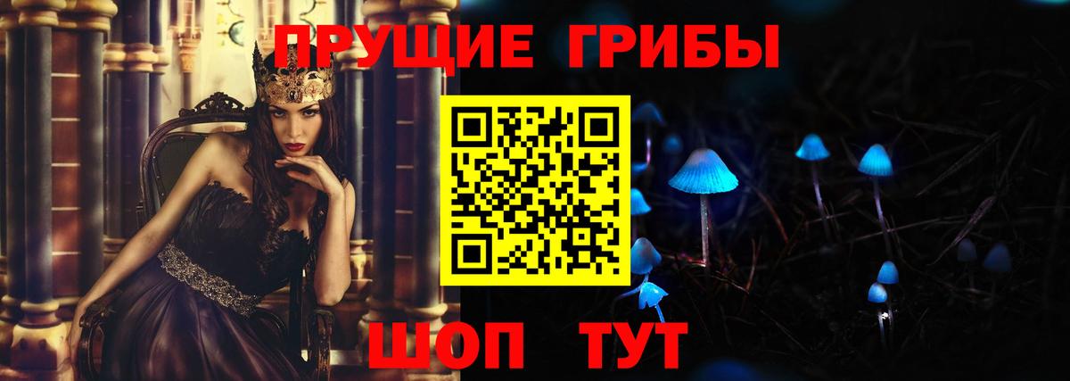Галлюциногенные грибы Cubensis  Вход с VPN  Саяногорск 